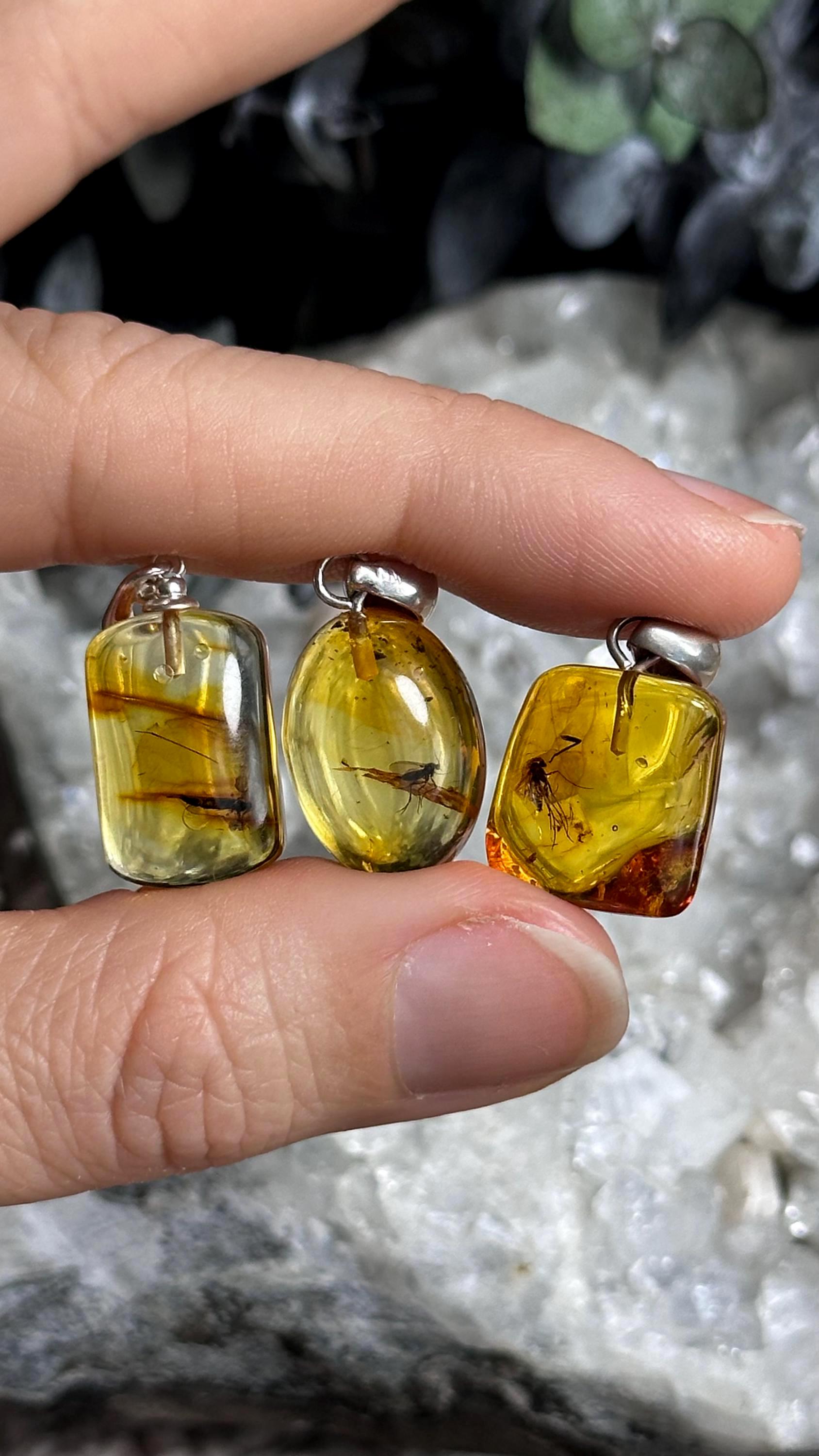 Baltic Amber With Insect Inclusions .925 Sterling Silver Necklace