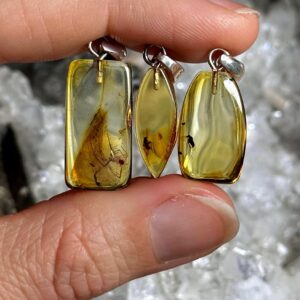 Baltic Amber with Insect Inclusions .925 Sterling Silver Necklace