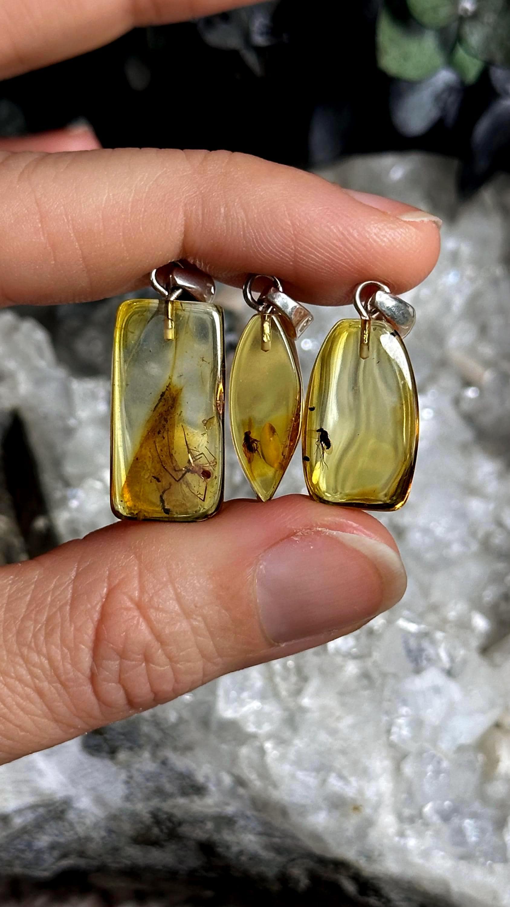 Baltic Amber With Insect Inclusions .925 Sterling Silver Necklace