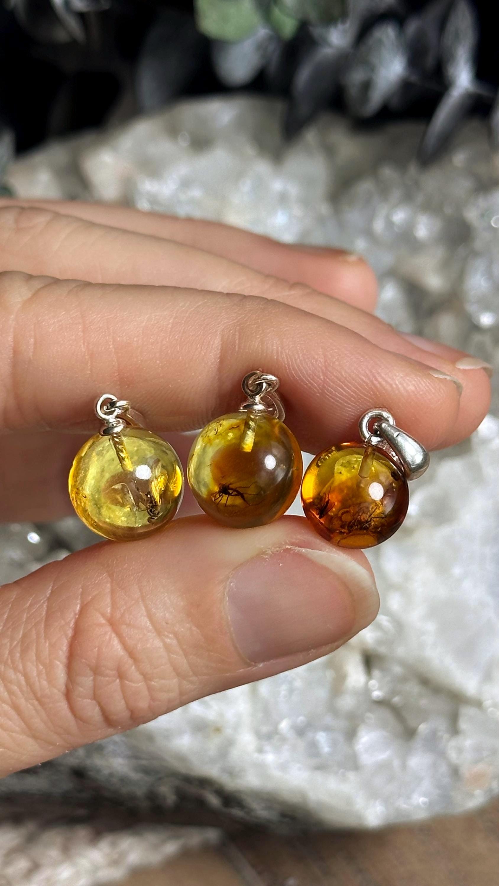 Baltic Amber With Insect Inclusions .925 Sterling Silver Necklace Baltic Amber With Insect Inclusions .925 Sterling Silver Necklace