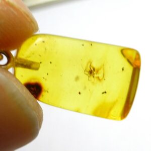 Baltic Amber Pendant With Insect Mosquito Small Petite Sterling Silver Bail 925 Rare One Of A Kind Oddity Unique Jewelry Jurassic Park Bugs