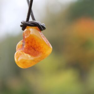 Hunter Pendant Raw Baltic Amber Necklace Tribal Dude Dad Gift Earthy Colors Charm Pagan Healing Amber Mens Jewelry Neolithic