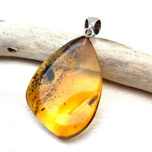 Natural Amber Insect Pendant, 925 Sterling Silver, Collector's Item