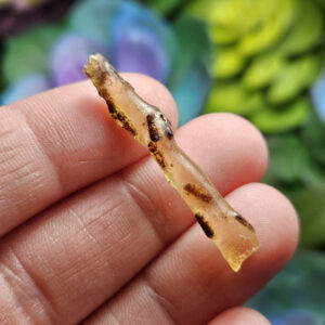 Amber Wand With Insects, Natural Young Amber With Bug Inclusions