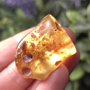 Amber With Bugs - 9.8g Amber - Amber Fossil - Natural Amber - Amber With Insect - Amber With Inclusions - Amber Specimen - Uv Amber