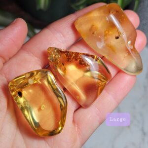 Amber With Bugs, Natural Amber - Amber With Insects - Insect Inclusion - Amber Crystal - Polished Amber - Amber Specimen