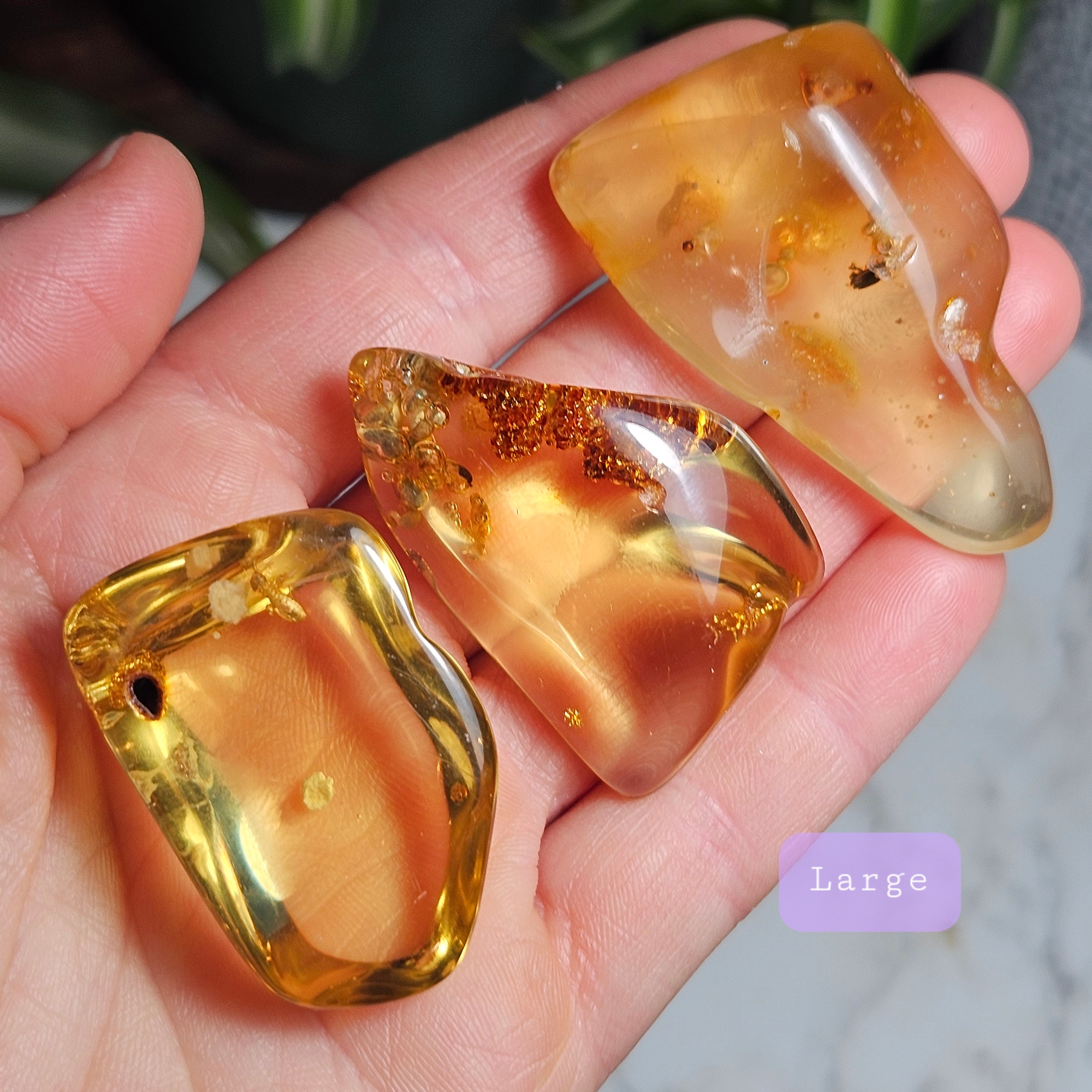 Amber With Bugs, Natural Amber - Amber With Insects - Insect Inclusion - Amber Crystal - Polished Amber - Amber Specimen