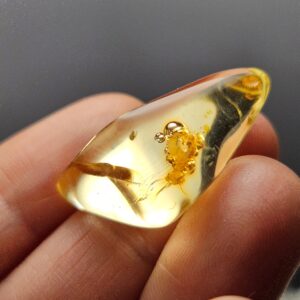 Amber With Bugs Specimen - Polished Amber With Insect & Static Enhydro Inclusions