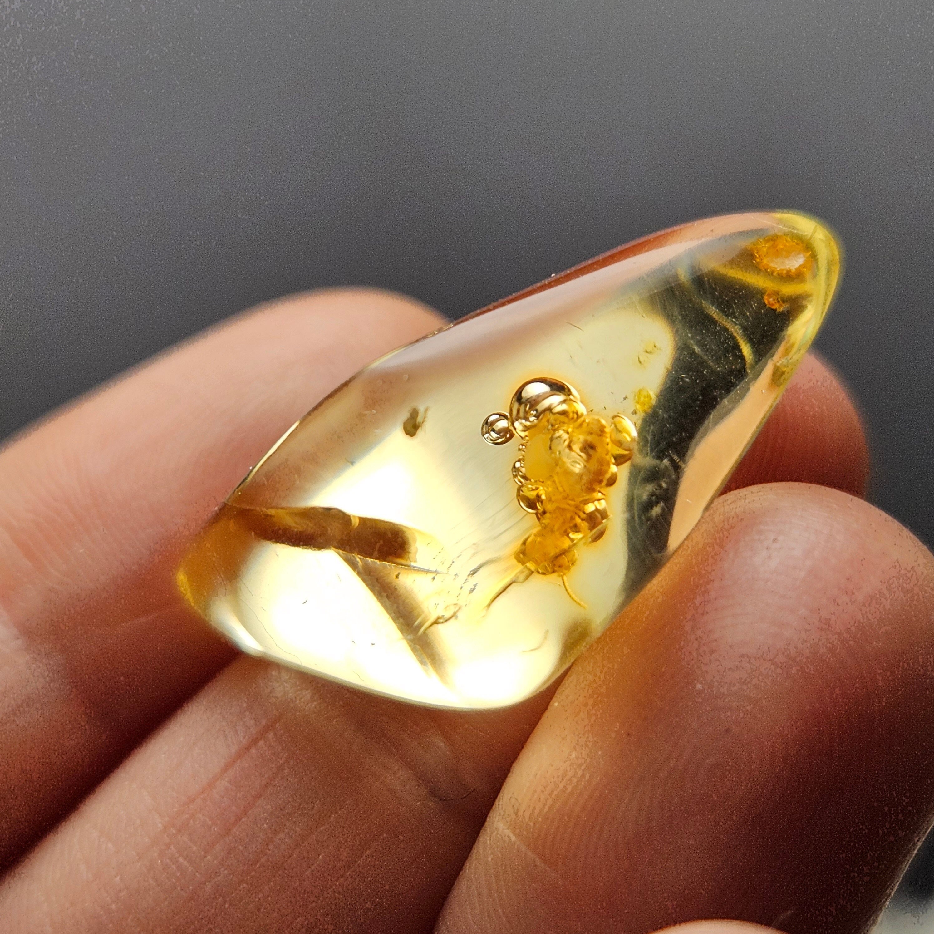 Amber With Bugs Specimen - Polished Amber With Insect & Static Enhydro Inclusions