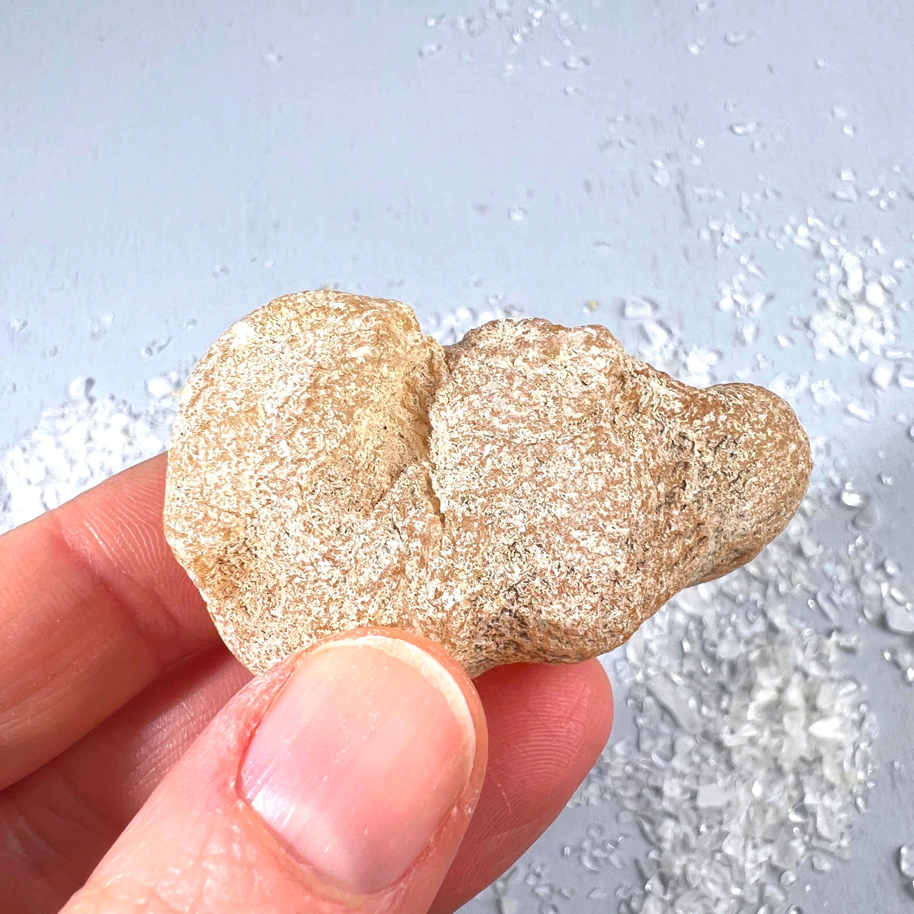 Raw Copal Amber 2 Inches