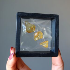 Amber Raw Crystal Set 3 Sunny Horizon Timeless Healing Gems