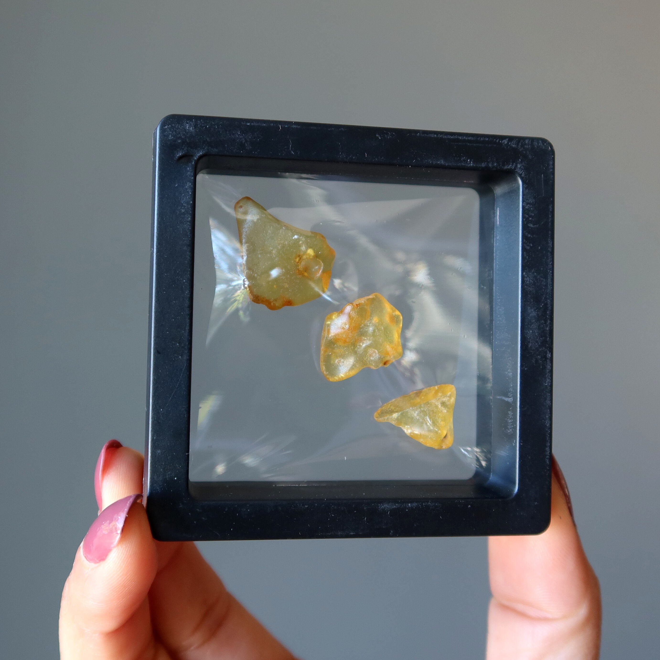 Amber Raw Crystal Set 3 Sunny Horizon Timeless Healing Gems