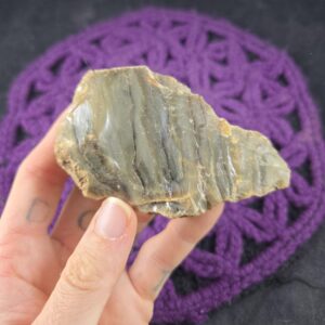 Amber Raw Crystal Uv Blue Amber Rough Stones Palm Stone Unique Uv Reactive Indonesia