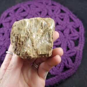 Amber Raw Crystal Uv Blue Amber Rough Stones Palm Stone Unique Uv Reactive Indonesia