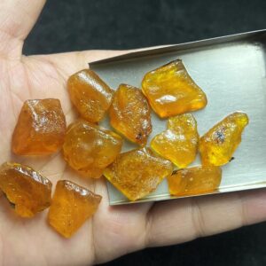 Golden Amber Rough Lot | Transparent Natural Fossil Resin 20-25mm