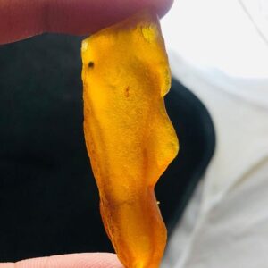 Handpicked Natural Yellow Amber Rough Stone | Transparent with Insect Inclusion 6.34g