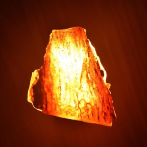 Huge Natural Yellow Amber Rough Stone | Transparent with Insect Inclusion 132g