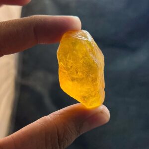 Insect Amber Rough Stone | Transparent Chunk 15.8g 45x26x25mm
