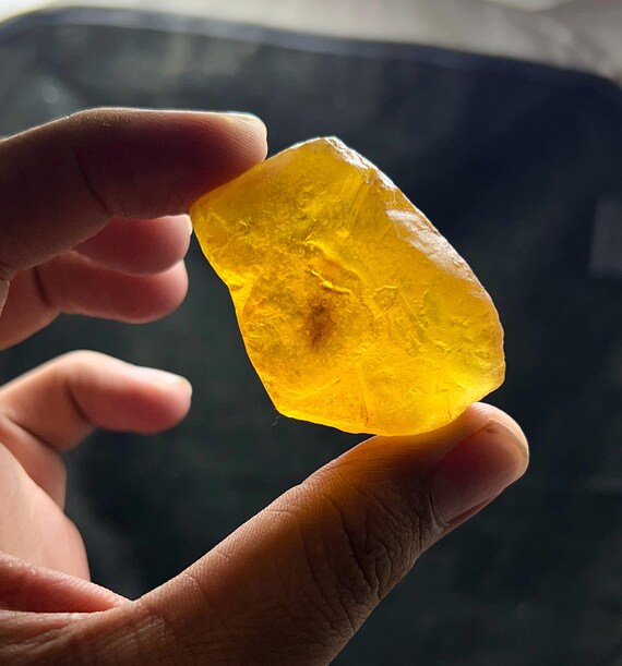 Insect Amber Rough Stone | Transparent Raw Chunk 23.8g 47x36x25mm