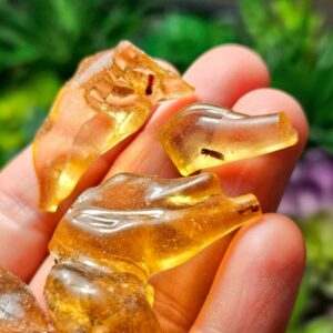 Amber With Insects - Natural Amber - Raw Amber - Amber With Bug - Amber With Insect - Natural Amber - Amber Crystal - Amber Stone