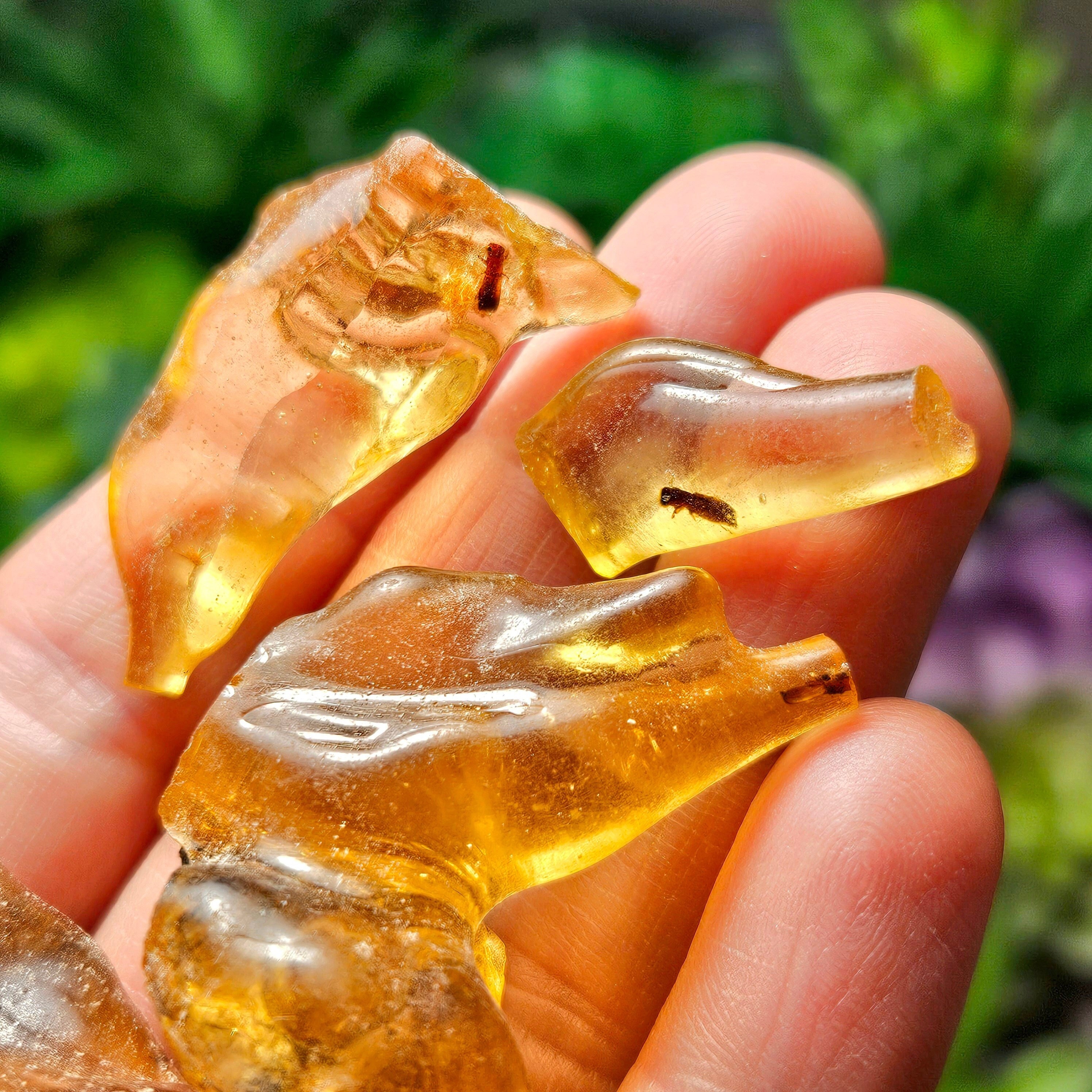 Amber With Insects - Natural Amber - Raw Amber - Amber With Bug - Amber With Insect - Natural Amber - Amber Crystal - Amber Stone