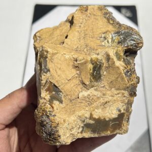 Large Natural Butterscotch Amber Rough Stone | Raw Fossil Resin Specimen 442g 120x95x90mm