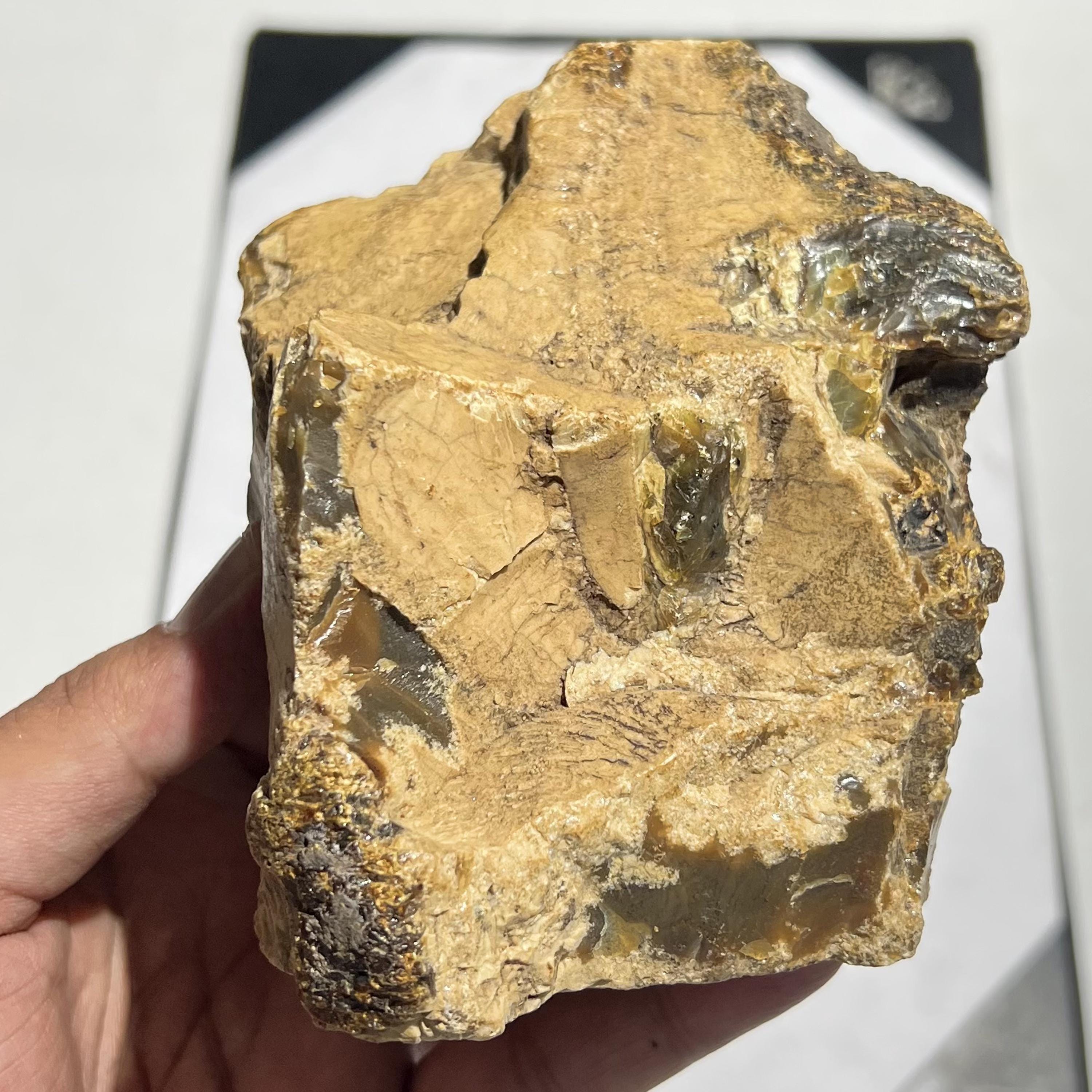 Large Natural Butterscotch Amber Rough Stone | Raw Fossil Resin Specimen 442g 120x95x90mm