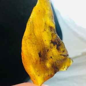 Natural Baltic Amber Rough | Honey Yellow Fossil Resin 7g