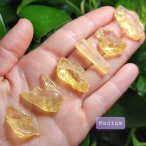 Natural Honey Amber Specimen: Raw Madagascar Amber Stone