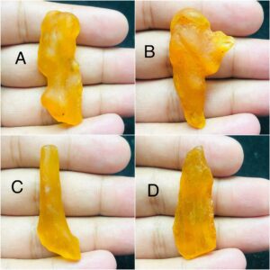 Natural Yellow Amber Rough Stone | Transparent with Insect Inclusion