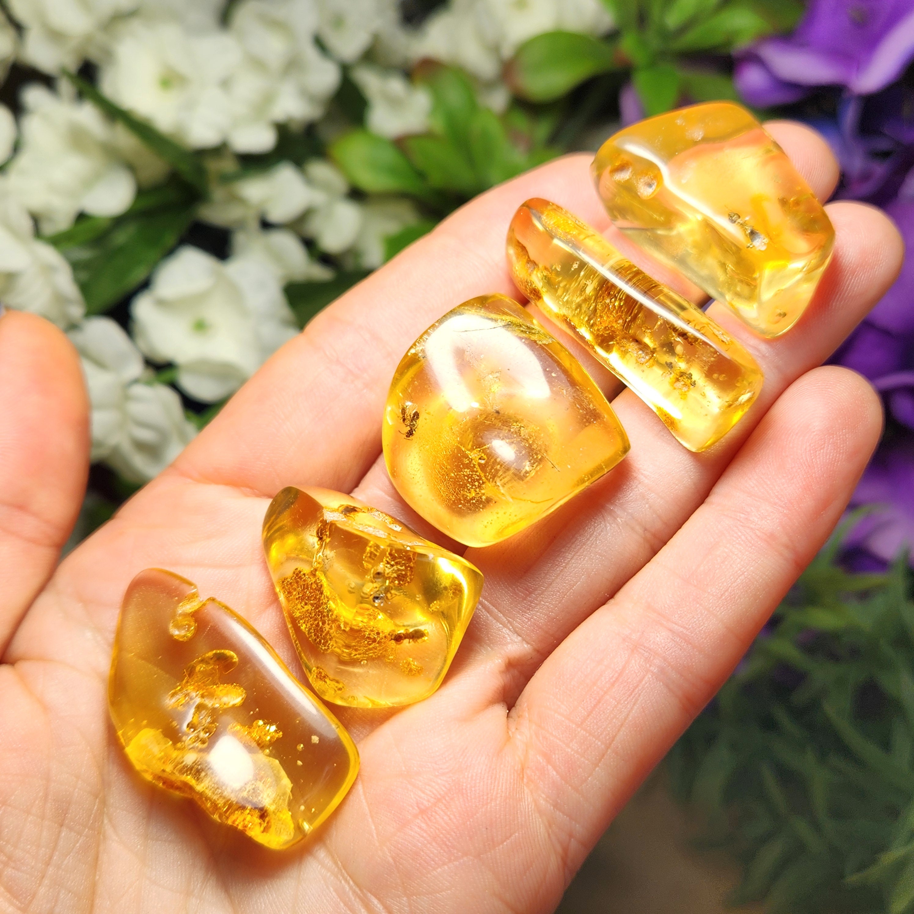 Amber Specimen With Insects: Natural Polished Amber Fossils & Bug Inclusions