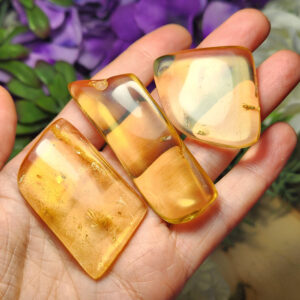 Amber Specimen: Natural Fossil & Insect Inclusion, Amber With Bugs