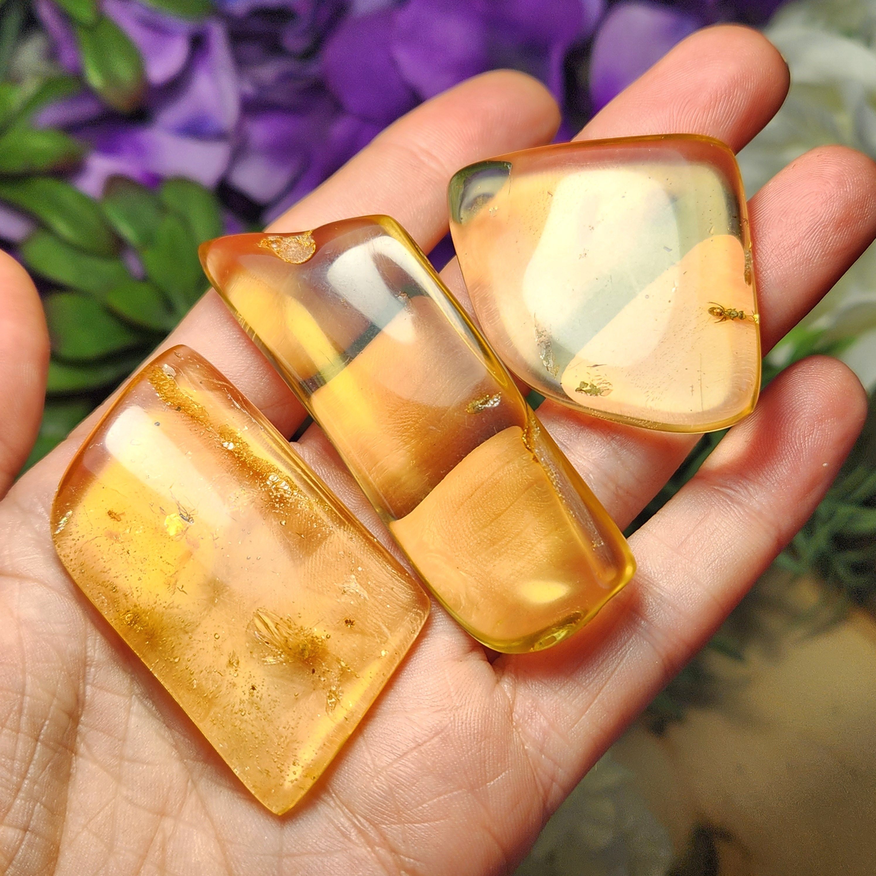 Amber Specimen: Natural Fossil & Insect Inclusion, Amber With Bugs
