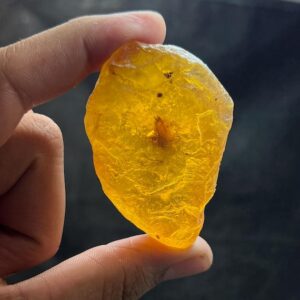 Yellow Amber Rough Stone | Transparent Raw Mineral 34g 62x24x26mm