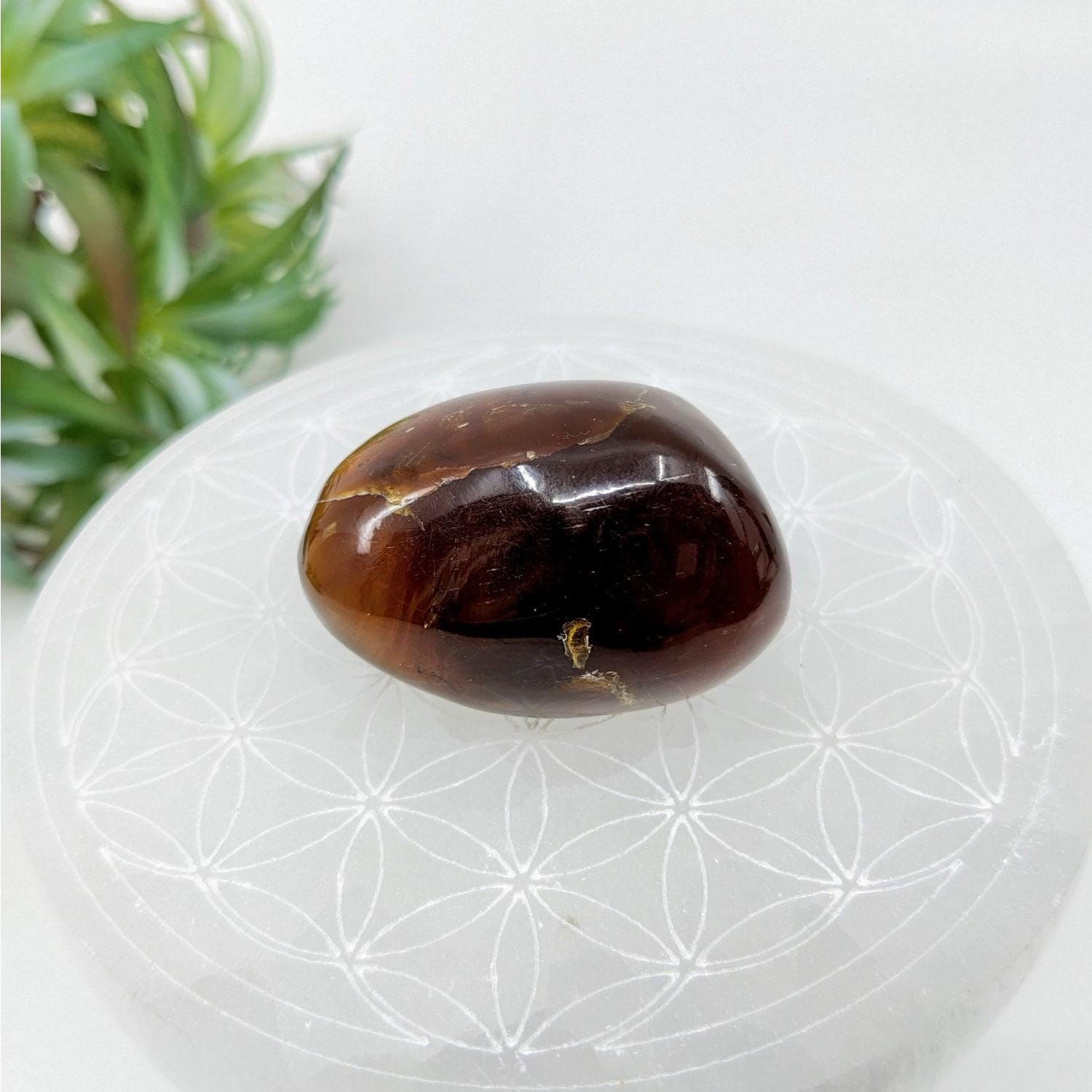 Amber 1.5" Polished Stone Pebble #lv6036