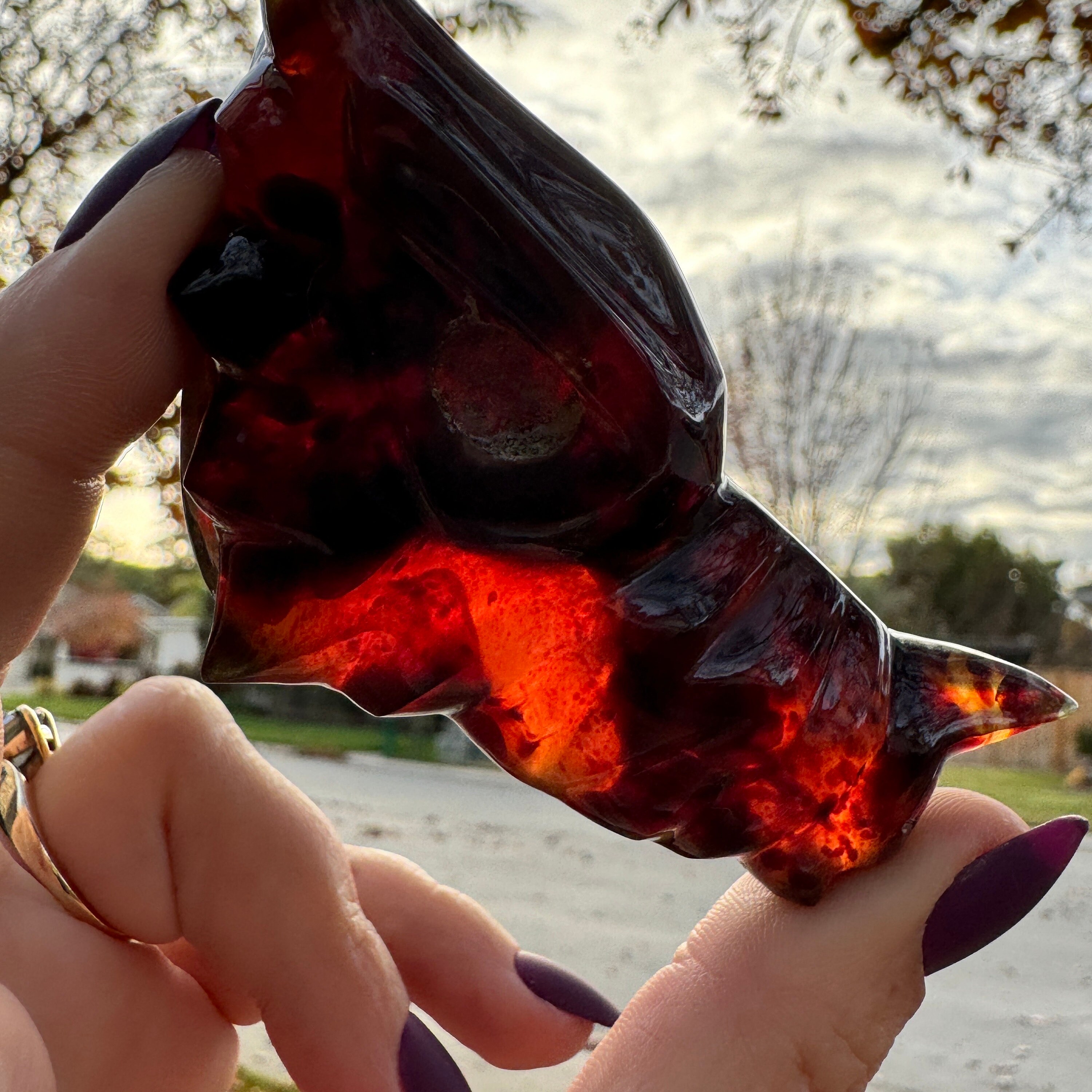 Sumatran Blue Amber Dragon Skull | Uv Reactive Dragon Skull | Genuine Amber Carving | Rare Skull Carving | Copal Skull Sumatran Blue Amber Dragon Skull | Uv Reactive Dragon Skull | Genuine Amber Carving | Rare Skull Carving | Copal Skull