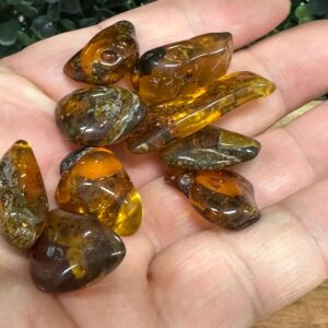 Baltic Amber 3/4" Tumbled Stone
