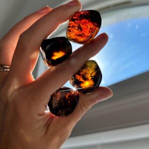 Tumbled Chiapas Amber