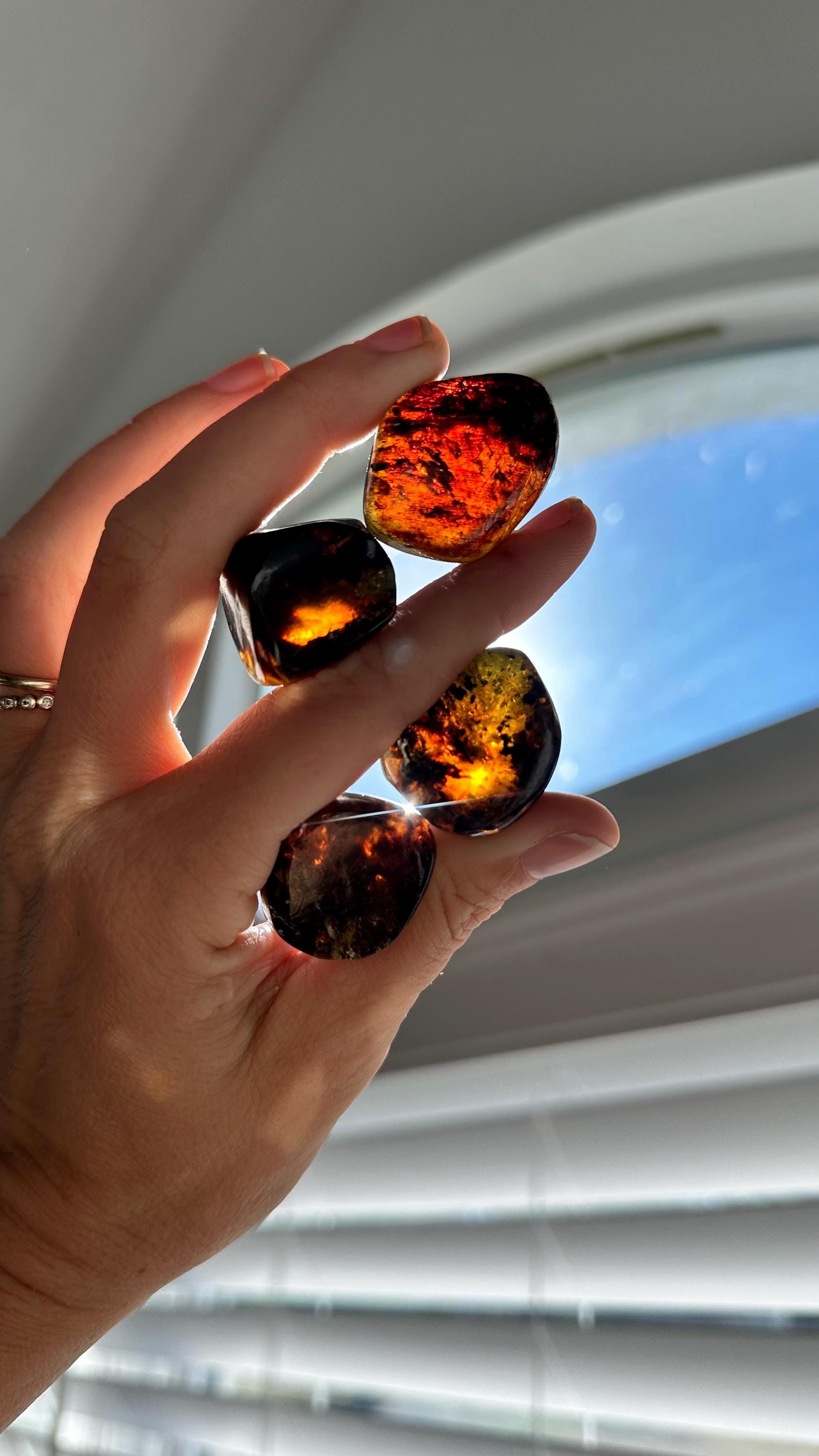 Tumbled Chiapas Amber Tumbled Chiapas Amber