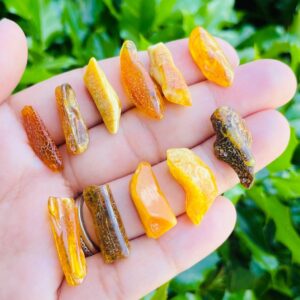 Cognac Amber Crystal Sticks: Tumbled Polished Gemstones (1) Cognac Amber Crystal Sticks: Tumbled Polished Gemstones (1)