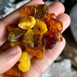 Mini Tumbled Baltic Amber