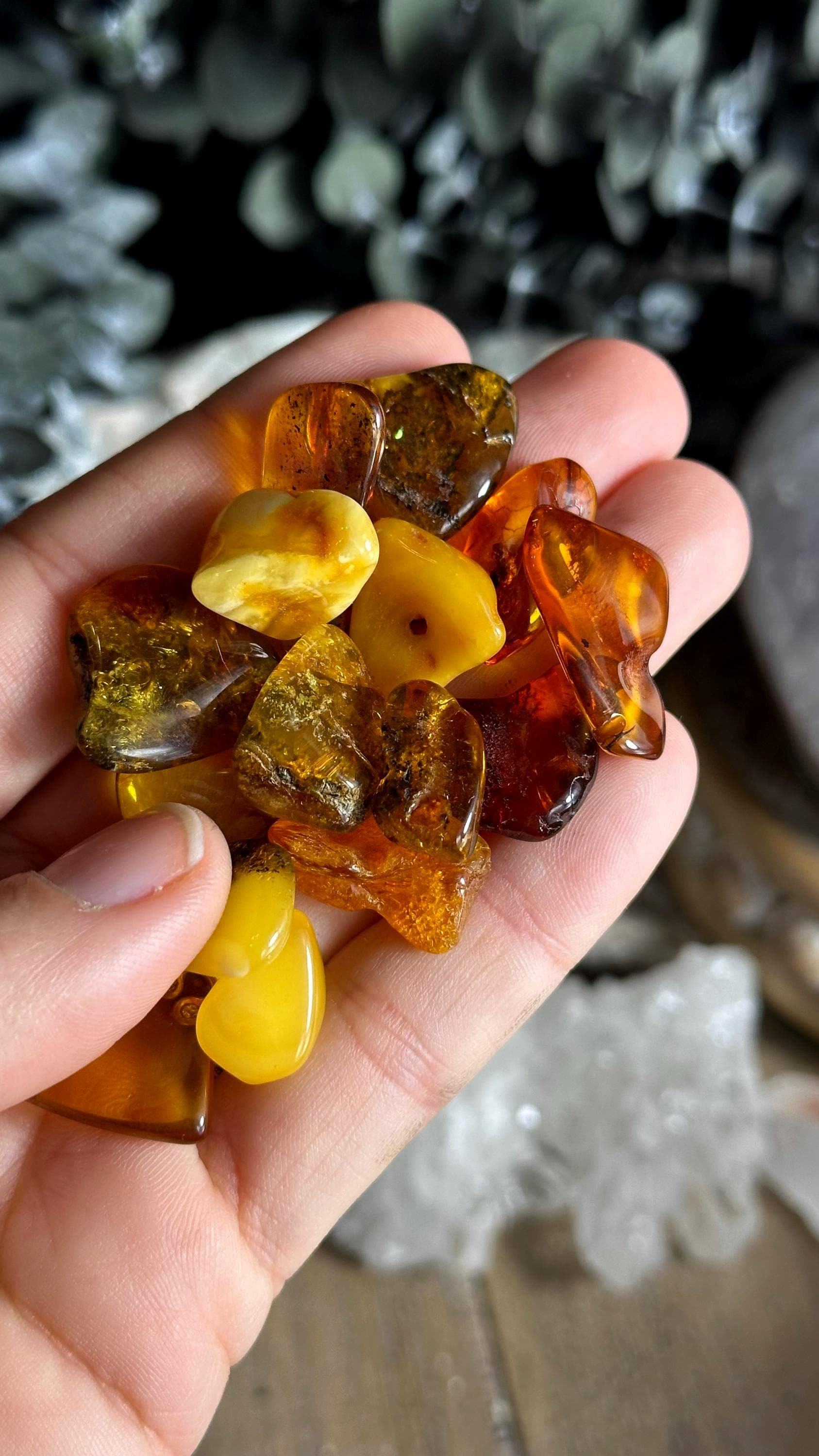 Mini Tumbled Baltic Amber