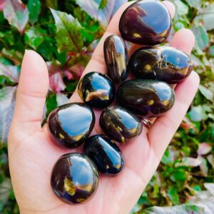 Polished Amber Stone (1) Tumbled Amber Crystal | Genuine Natural Amber Mineral Specimen, Natural Gemstone Light Weight