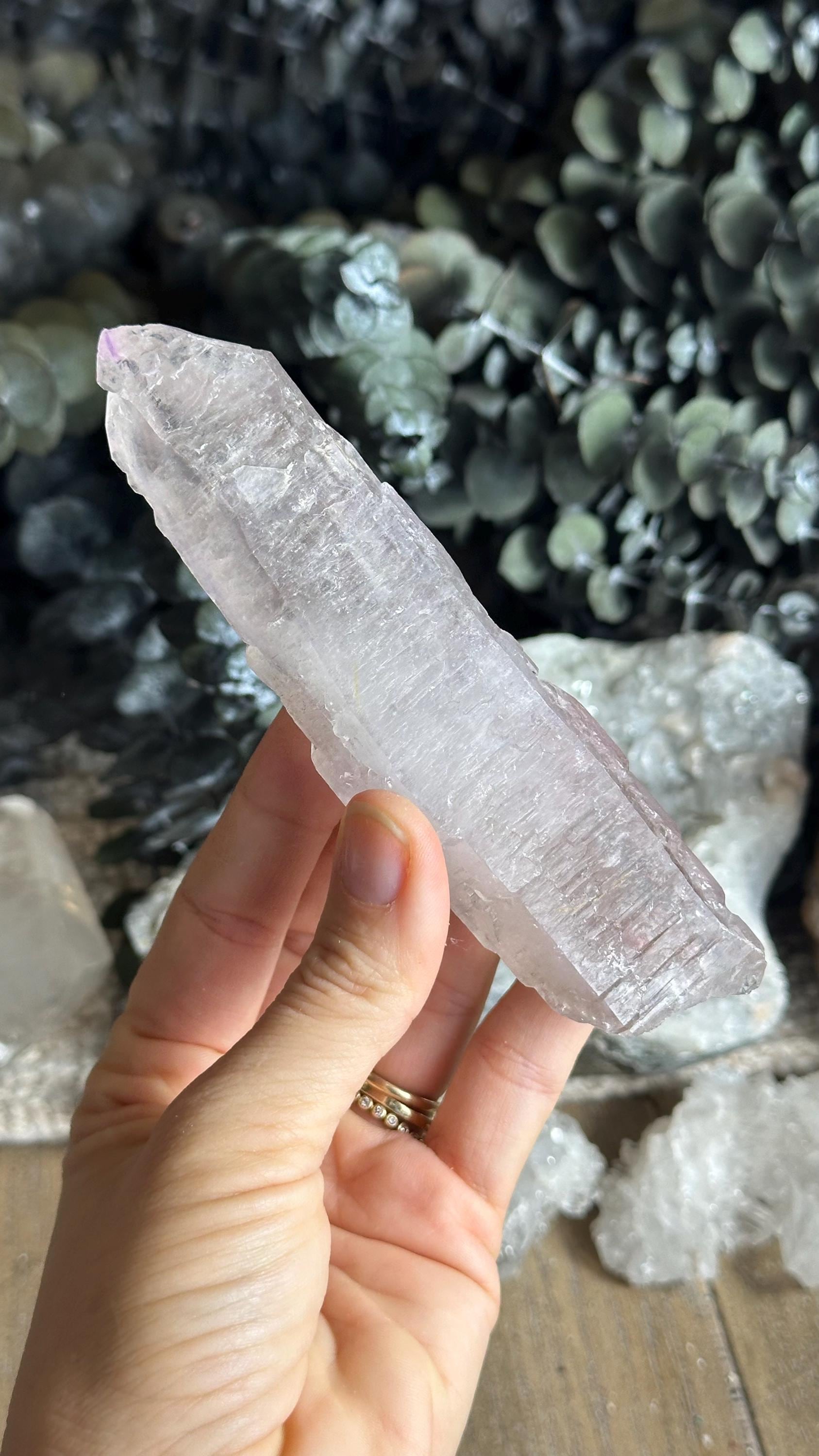 Vera Cruz Amethyst Crystal Point: Raw Mexican Healing Stone