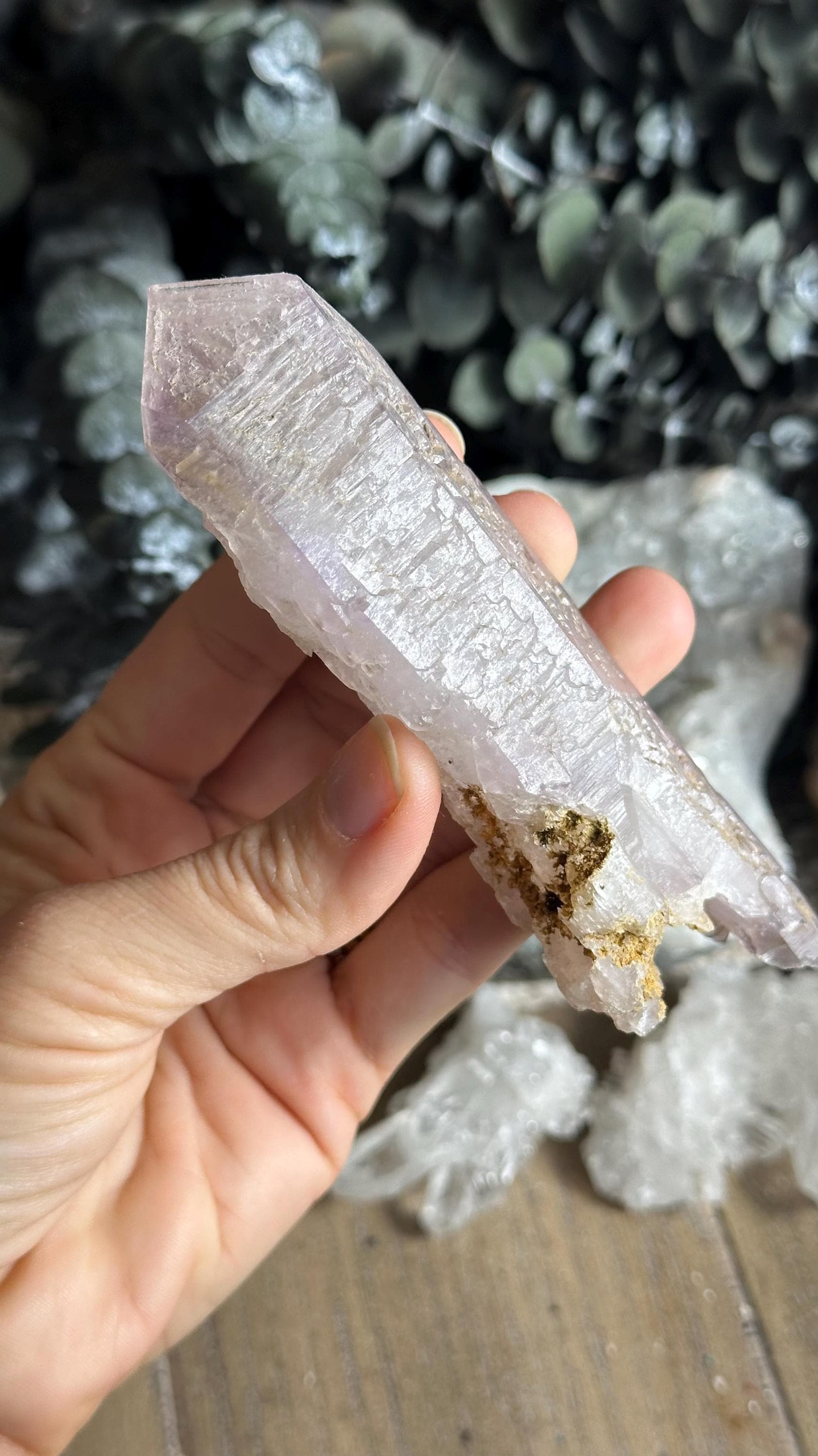 Vera Cruz Amethyst Crystal Point: Raw Mexican Healing Stone