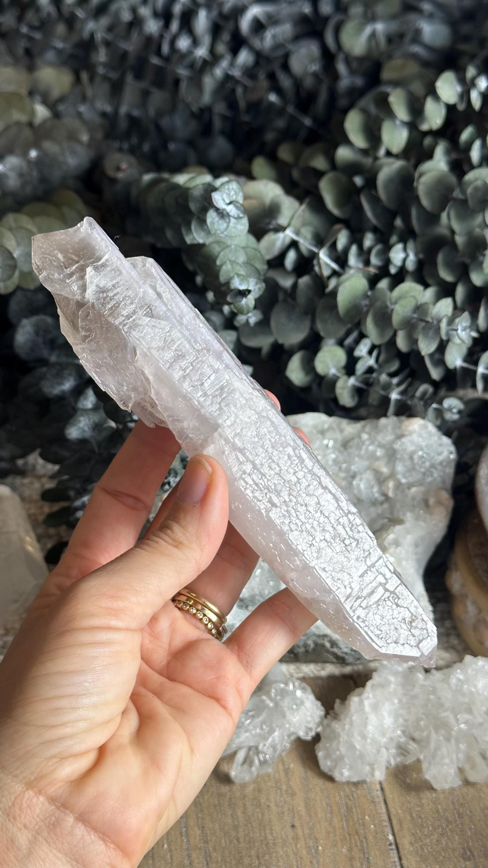 Vera Cruz Amethyst Crystal Point: Raw Mexican Healing Stone Vera Cruz Amethyst Crystal Point: Raw Mexican Healing Stone