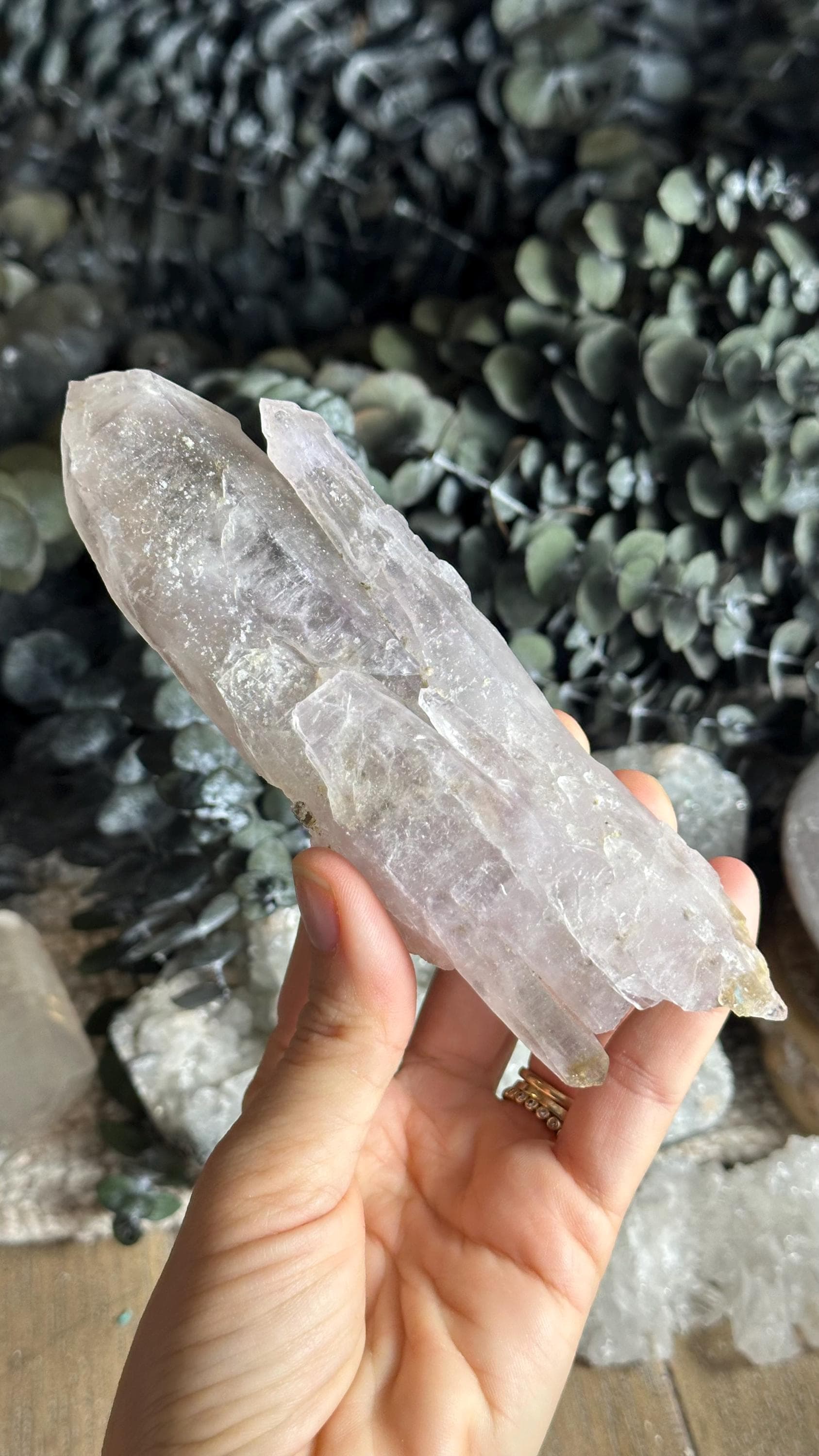 Vera Cruz Amethyst Crystal Point • Raw Mexican Healing Stone