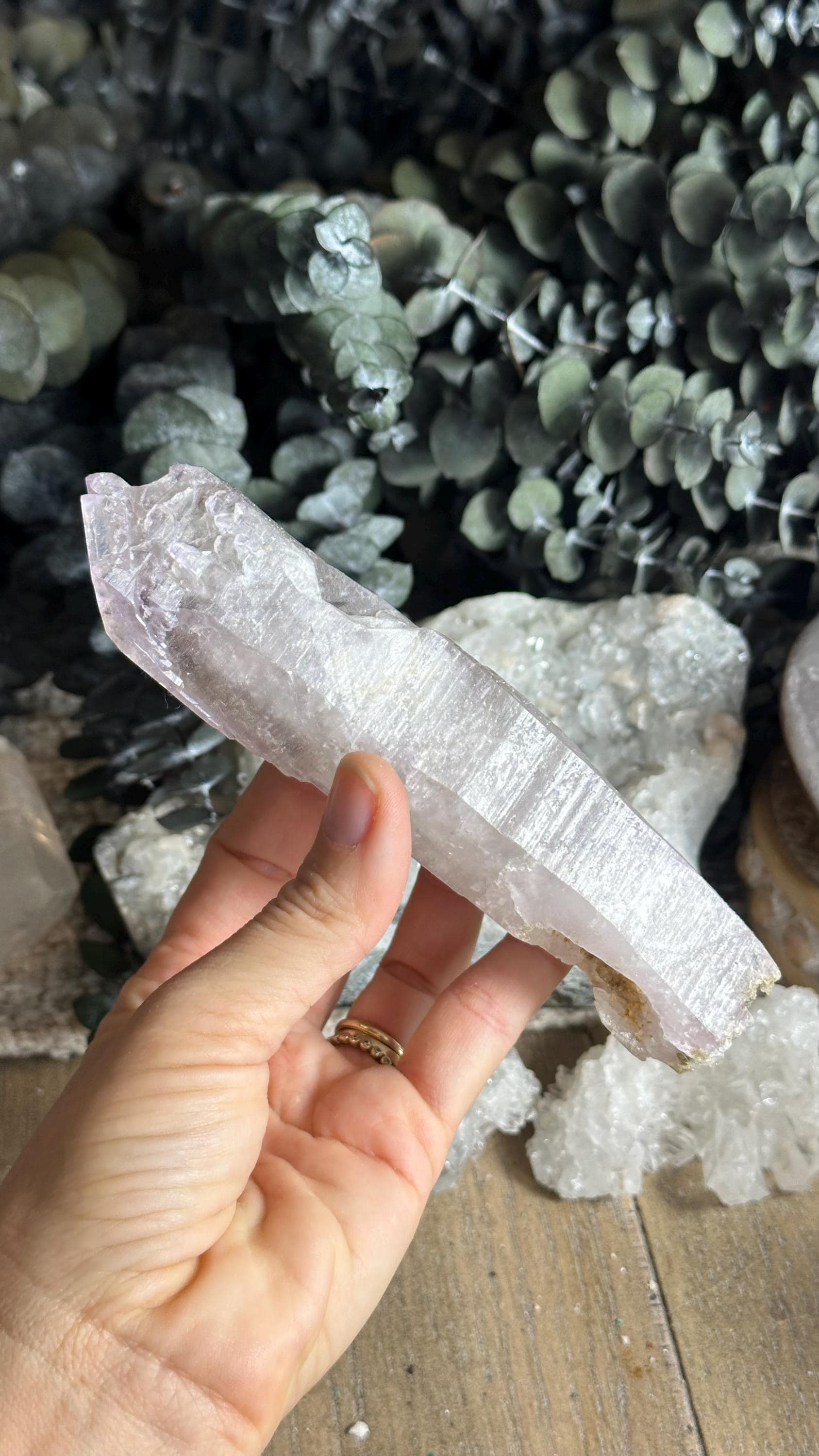 Vera Cruz Amethyst Crystal Point - Raw Mexican Healing Stone