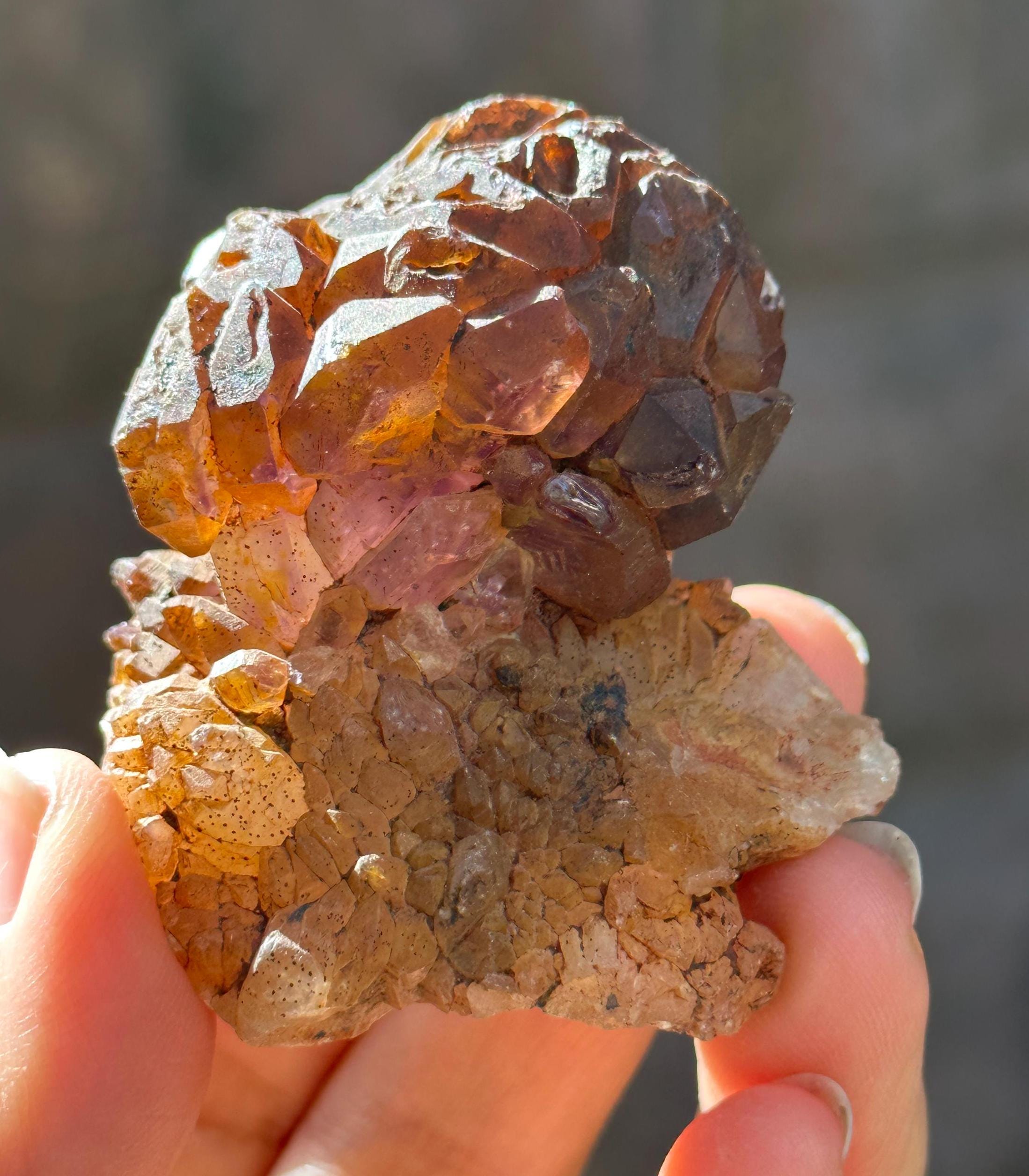 Rare Scepter Super 7 Amethyst Crystal Globular Cluster/skeletal Quartz Crystal/specimen/crystal Collection/meditation/reiki/healing - 83 G