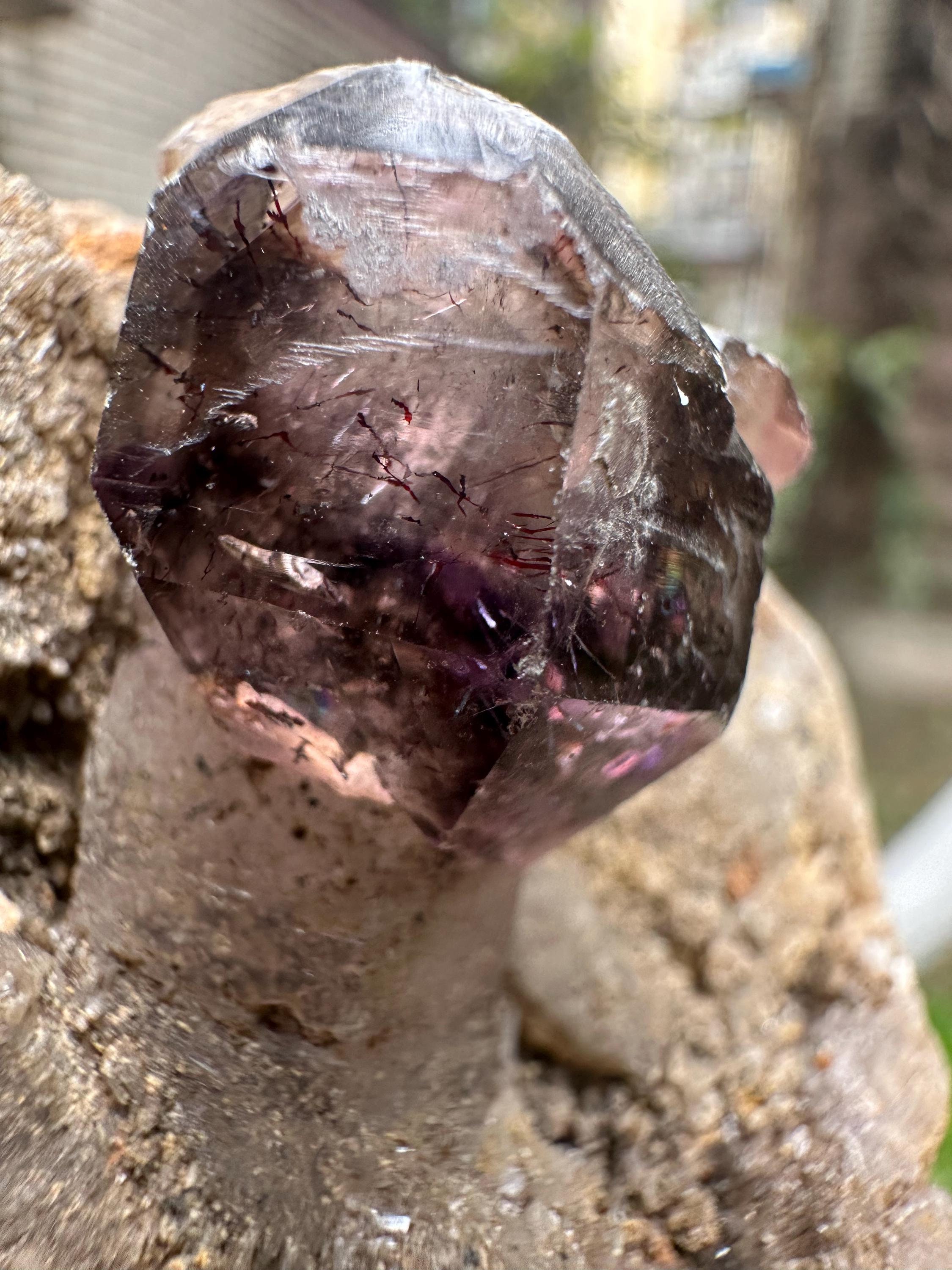 Rare Super 7 Amethyst Quartz Scepter Crystal Geode From Zimbabwe/specimen/super Energy Healing Crystal/reiki/amethyst Geode Specimen- 215 G